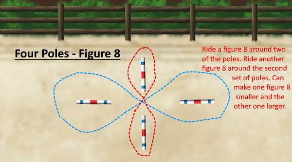 subscription horse riding lesson plans summer camp curriculum