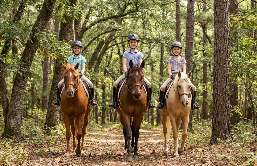 Screenshot 2026-02-11 183130